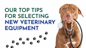 Our Top Tips for Selecting New Veterinary Equipment
