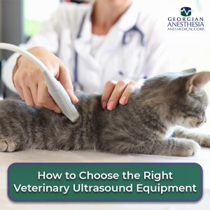 How to Choose the Right Veterinary Ultrasound Equipment