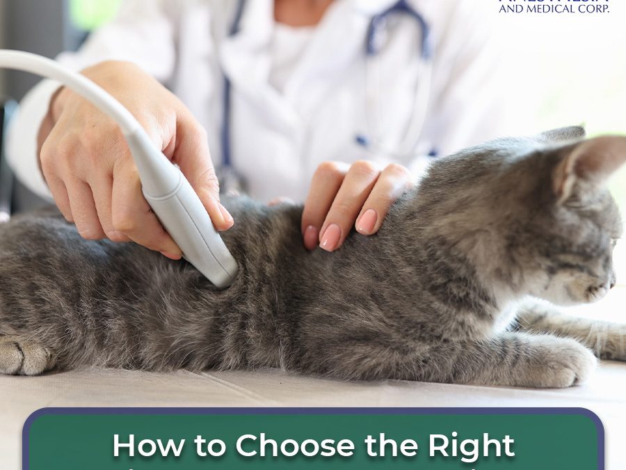 How to Choose the Right Veterinary Ultrasound Equipment