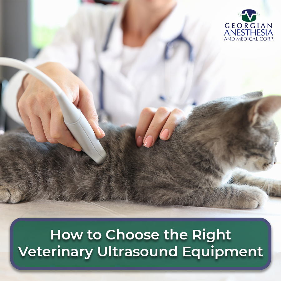 How to Choose the Right Veterinary Ultrasound Equipment
