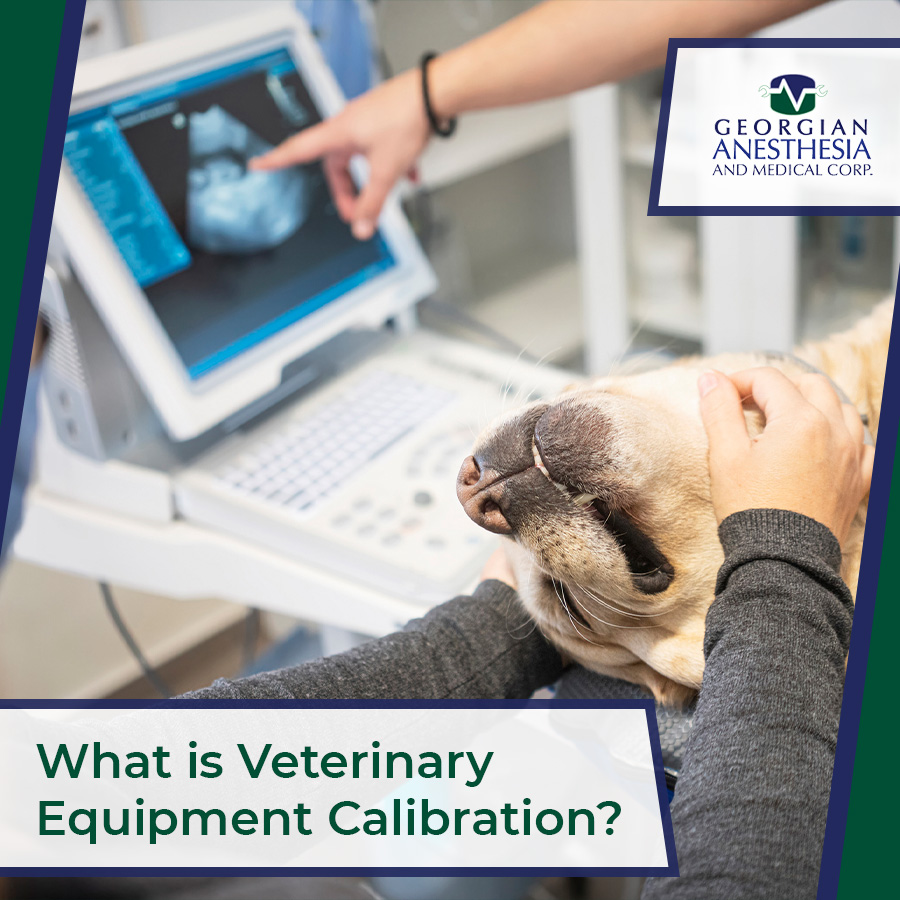 What is Veterinary Equipment Calibration?