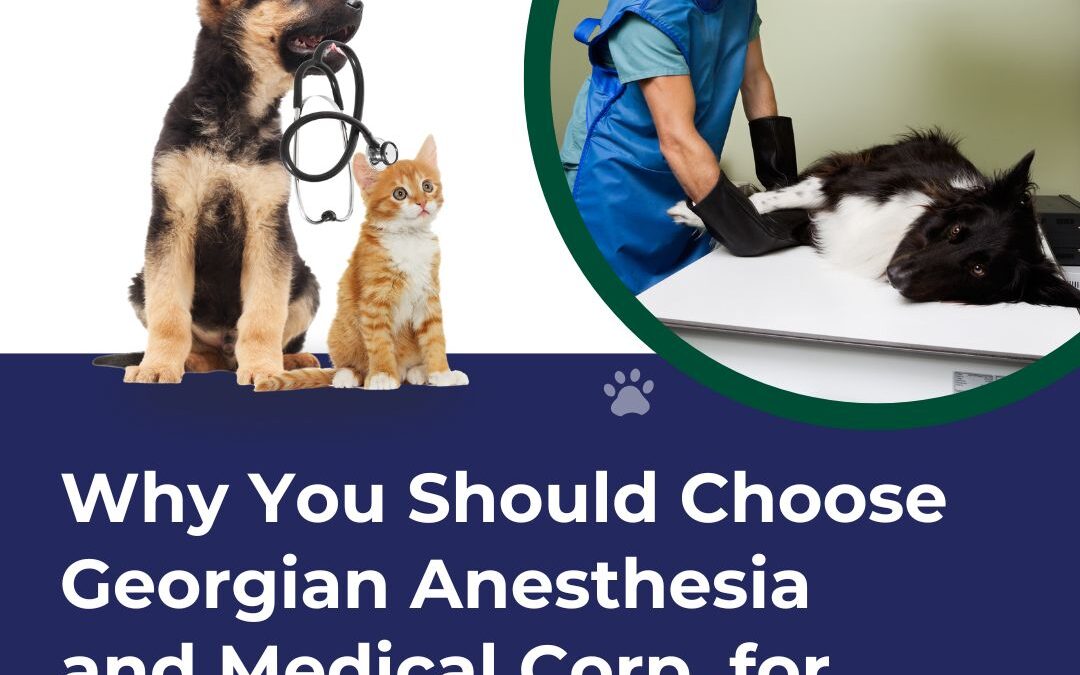 Why You Should Choose Georgian Anesthesia and Medical Corp. for Your Veterinary Clinic Equipment Needs