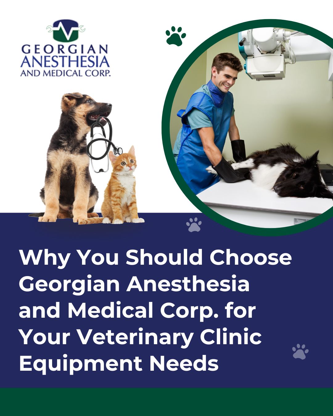 Why You Should Choose Georgian Anesthesia and Medical Corp. for Your Veterinary Clinic Equipment Needs