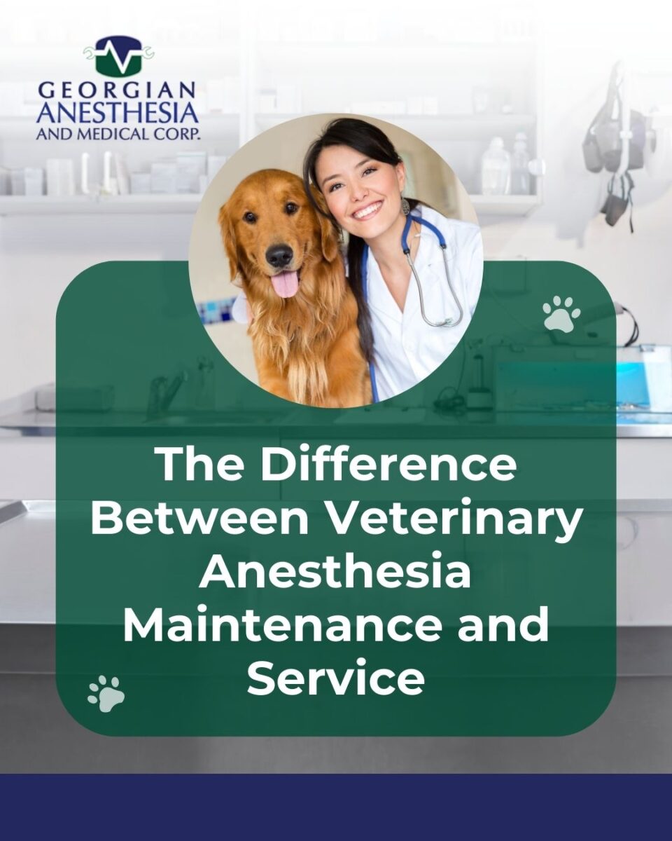 The Difference Between Veterinary Anesthesia Maintenance and Service