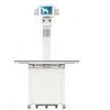Veterinary X-Ray in Toronto, Ontario