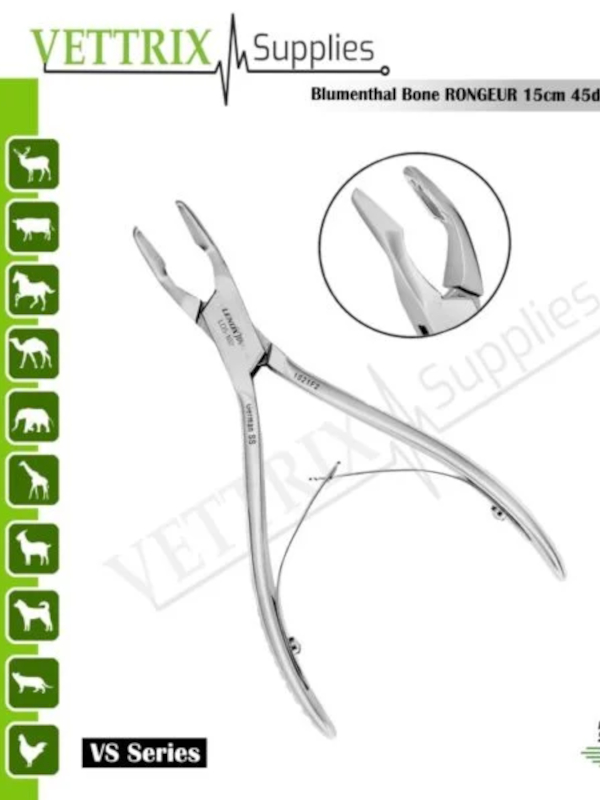 Veterinary Instruments