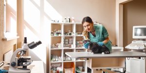 3 Signs It’s Time to Replace Your Veterinary Equipment