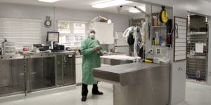 Veterinary Services in Toronto, Ontario