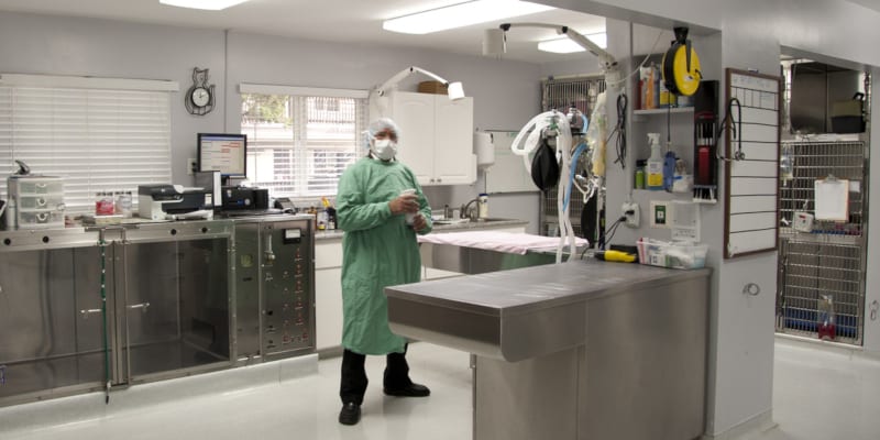 Accessories Veterinary Tables Shouldn't be Without