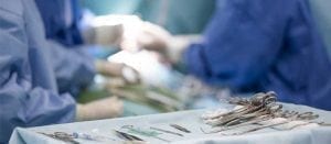 VETERINARY SERVICES