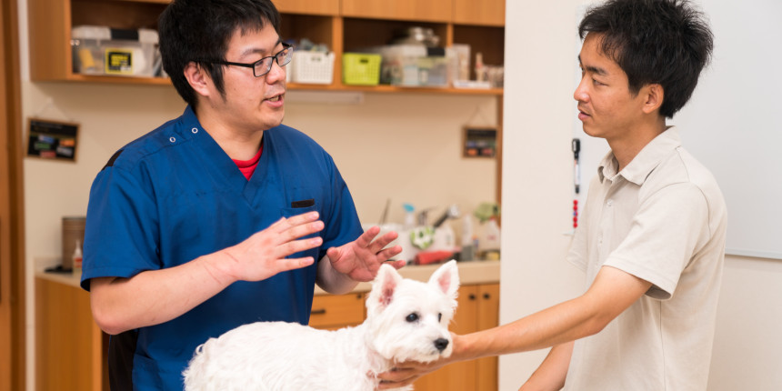Preparing Owners for Upcoming Vet Surgery Procedures