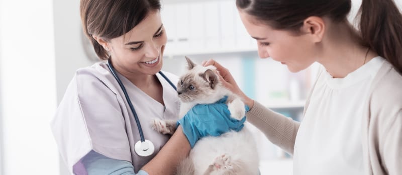 optimizing your clinic's efficiency