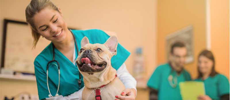 CO2 Anesthesia Monitoring: Is it Worth the Investment?