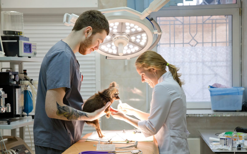 Local support, fast service, full warranty