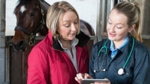 equine veterinary services