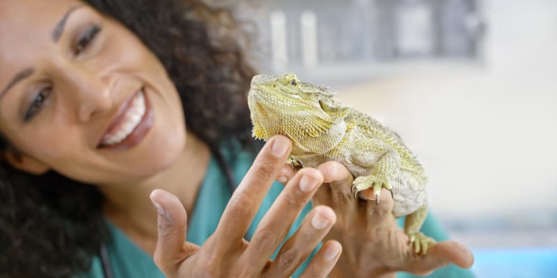 specialty veterinary supplies and equipment