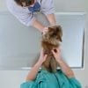 Veterinary Tables in Toronto, Ontario