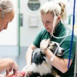 New Veterinary Clinic Setup