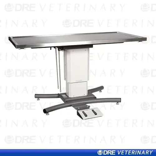 New Veterinary Clinic Setup